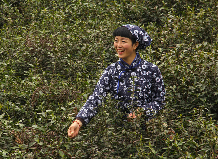 硬汉推理